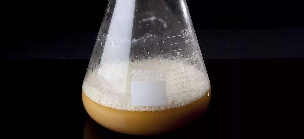 酵母發(fā)酵起泡是怎么回事，怎么處理這些泡沫？