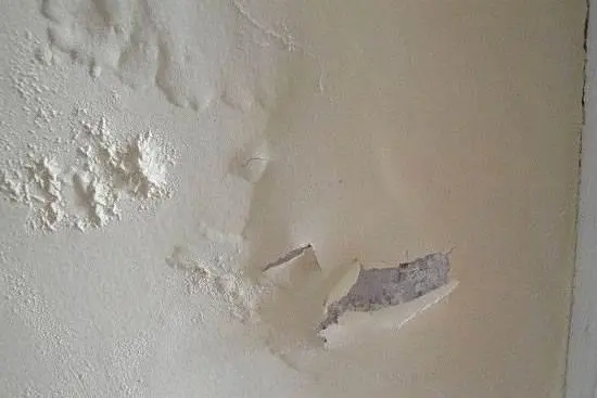 粉末消泡劑應用場景